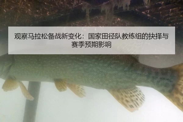 观察马拉松备战新变化：国家田径队教练组的抉择与赛季预期影响